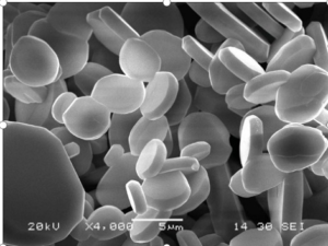 Platelet alumina powder as fillers for plasma spraying -2-